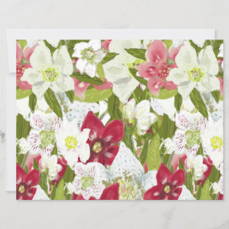 Anêmonas de Natal - Flores de Hellebores Pintadas