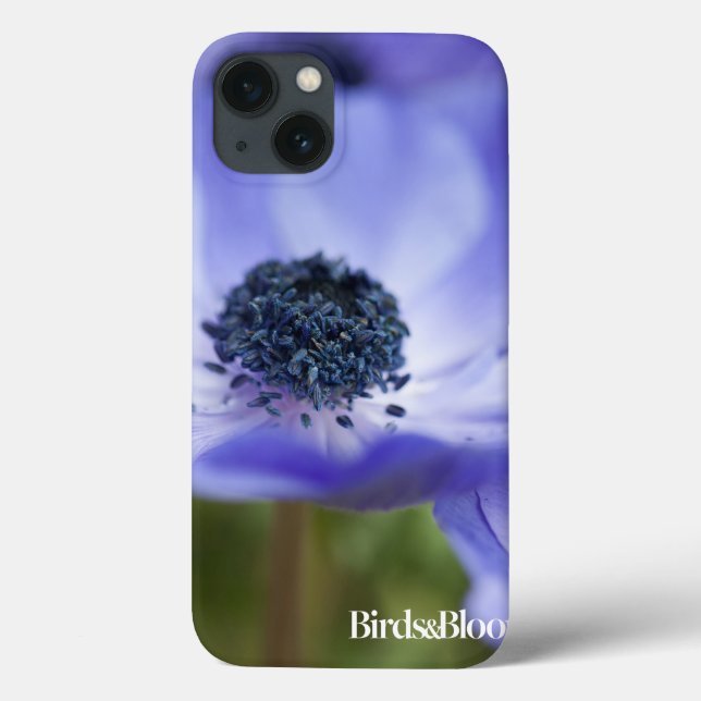 Anemone azul (Verso)