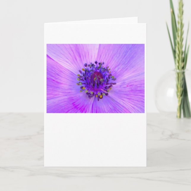 Anemone, cartão (Frente)