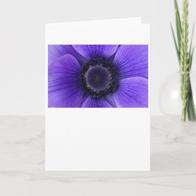 Anemone, cartão (Frente)