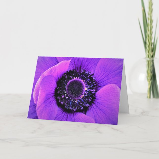 Anemone, cartão (Frente)