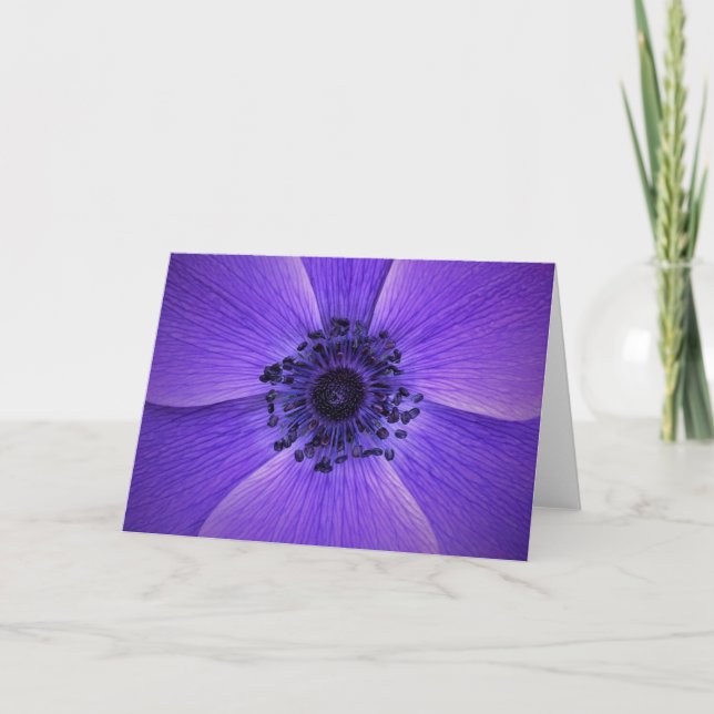 Anemone, cartão (Frente)