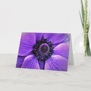 Anemone, cartão