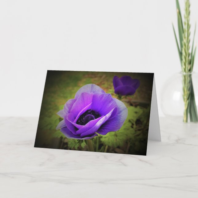 Anemone, cartão (Frente)