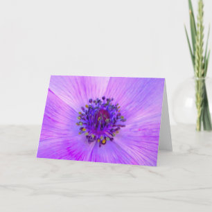 Anemone, cartão