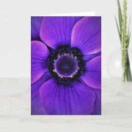 Anemone, cartão
