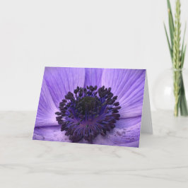 Anemone, cartão