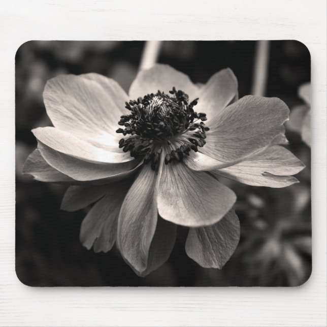 Anemone Sepia floral Fotografia Mouse pad (Frente)
