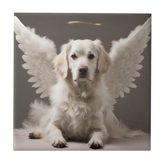 Angel Dog (Frente)