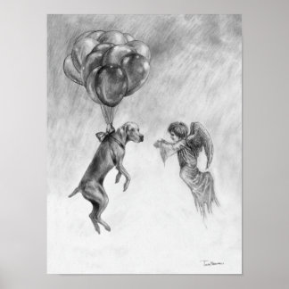 Angel e Weimaraner Poster