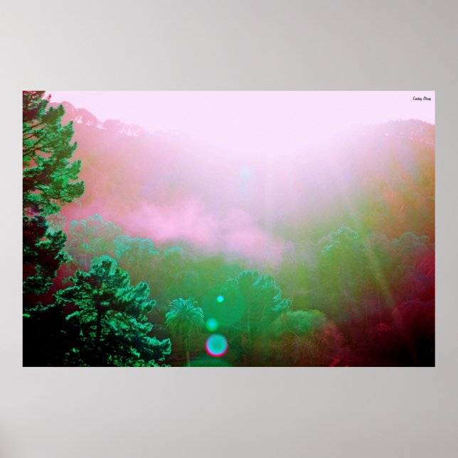 Angel Island Poster - X-Large (38" x 25,4") (Frente)