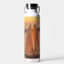 Angel Wing Shells Thermal Tumbler