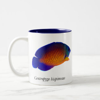 Angelfish coral da beleza - caneca do bispinosus