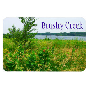 Angra Brushy, ímã de Iowa