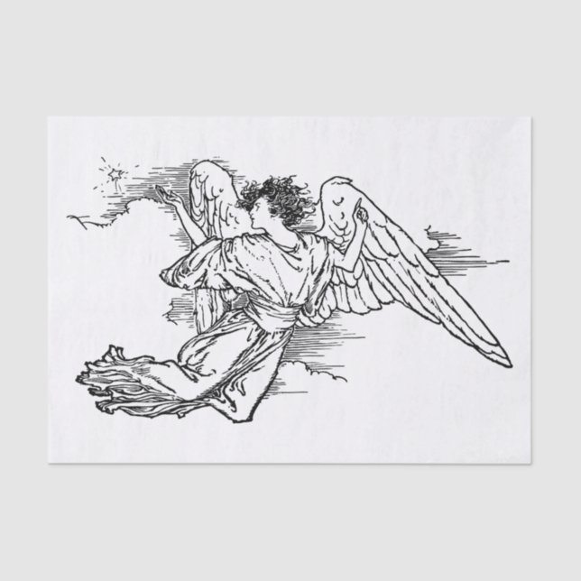 ÂNGULO DE Papel Tecidual (Frente )