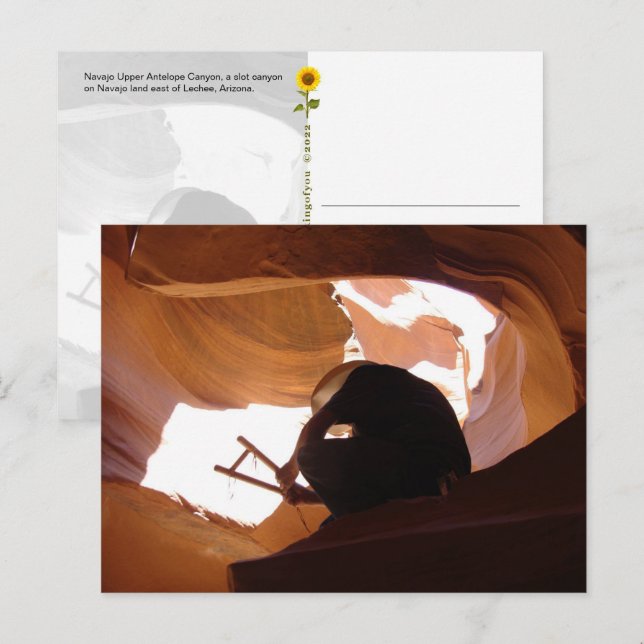 Aníloga superior do Navajo (2) - cartão postal (Frente/Verso)