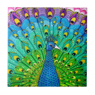 Animação de pássaros-pavão