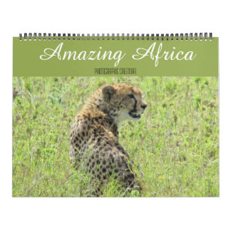 animais africanos calendário grande 2027