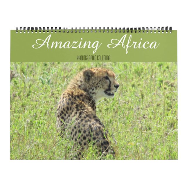 animais africanos calendário grande 2027 (Capa)