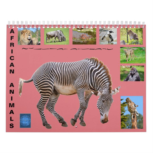 Animais africanos com calendário de 12 meses (Capa)