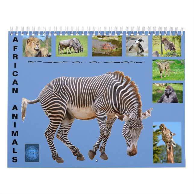 Animais africanos com calendário de 12 meses (Capa)