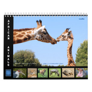 Animais africanos com calendário de 12 meses