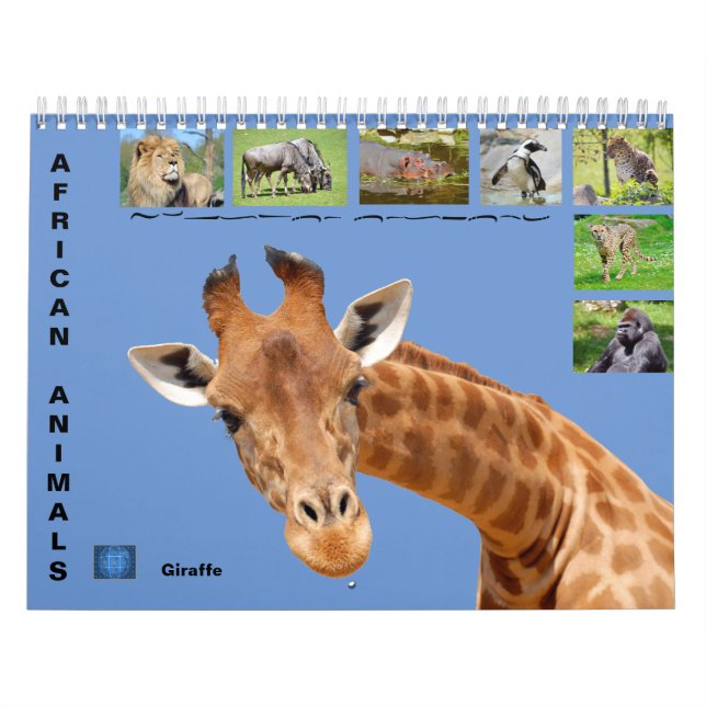 Animais africanos com calendário de 12 meses (Capa)
