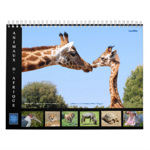 Animais africanos com calendário de 12 meses