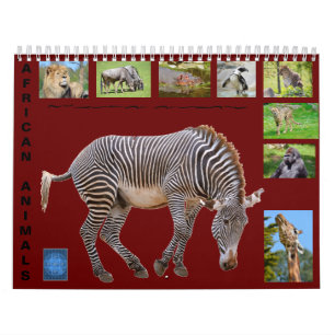 Animais africanos com calendário de 12 meses