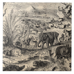 Animais animais africanos da ilustração dos 1800
