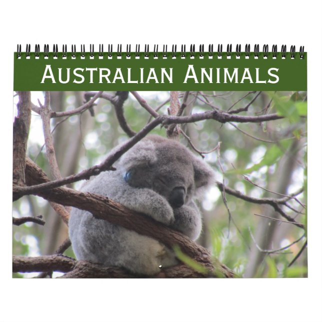 animais australianos calendário 2026 (Capa)