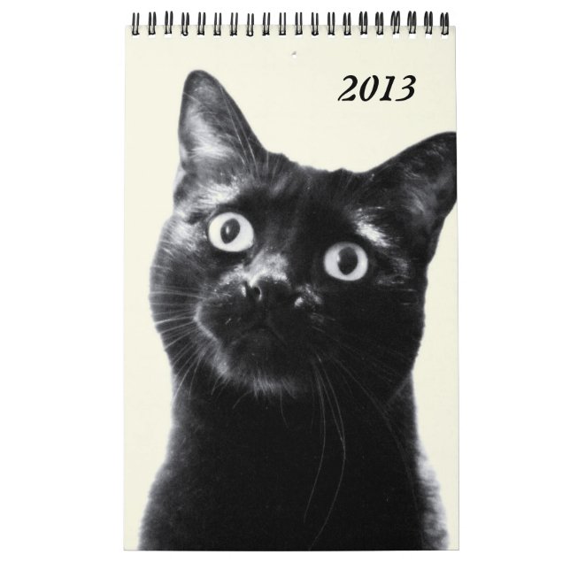 animais bonitos - calendário (única página) (Capa)