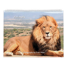 Animais calendário 2027