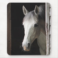 Animais cinzentos Mousepad do cavalo da égua