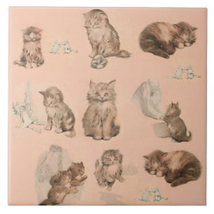 ANIMAIS CUTÂNEOS/ESTÓRIAS DE GATO E MOUSE EM PINCO