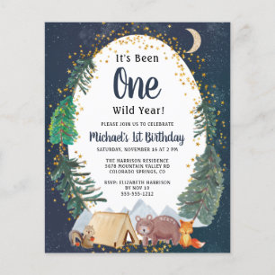 Animais da Floresta Selvagens Um primeiro aniversa