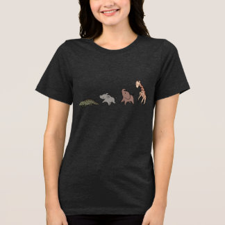 Animais da Savana (Elefante, Girafa, Crocodilo & R
