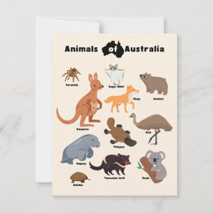 Animais da Vida Selvagem Aussie da Austrália