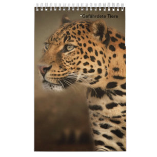 Animais de caça como calendários