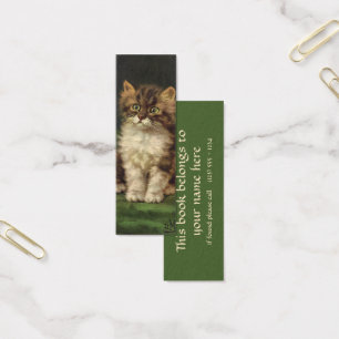 Animais de Estimação Antigos, Gatinho Listrado Fof