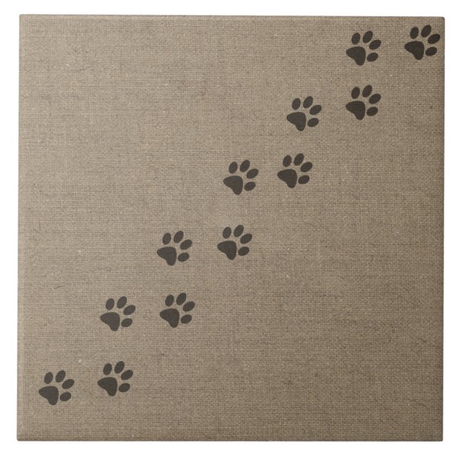 Animais de estimação Pawprints no design do efeito (Frente)