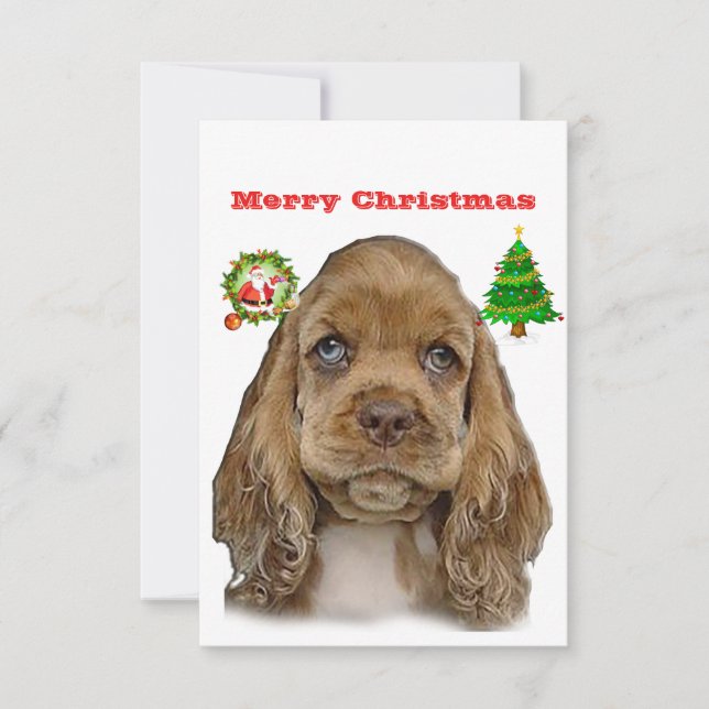 Animais de Natal (Frente)