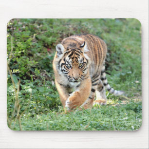 animais de tigre fotográfico.  mouse pad