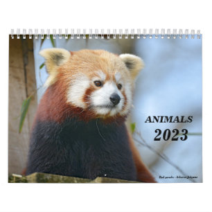 Animais do calendário 2023