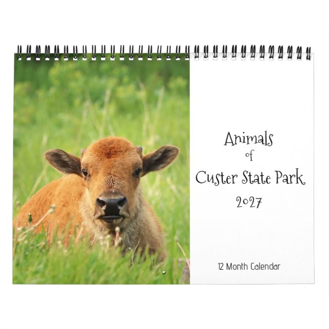 Animais do Calendário Custer State Park 2027 (Capa)