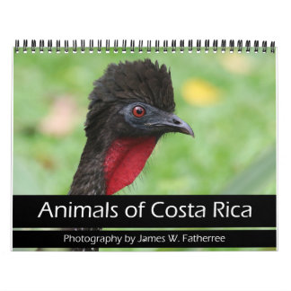 Animais do Calendário da Costa Rica