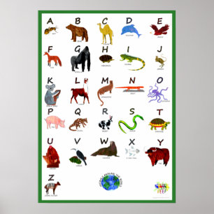 ANIMAIS DO MUNDO POSTER ABC