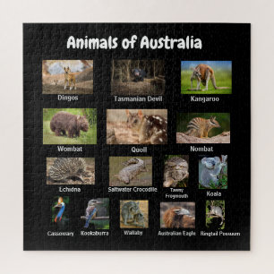 Animais do Quebra-cabeça do serrote australiano
