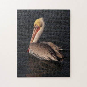 Animais do Quebra-cabeça Oceano Marrom de aves pe