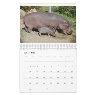 Animais em todo o mundo: calendário de 5,5" x 7"
